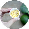 Pumpkin Seed Extract